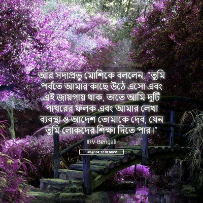Picture 05 - যাত্ৰা 24:12 BENIRV - আর সদাপ্রভু - Bible Verse Picture