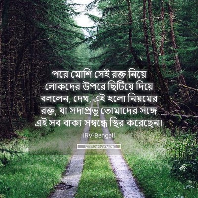 Picture 05 - যাত্ৰা 24:8 BENIRV - পরে মোশি সেই রক্ত - Bible Verse Picture