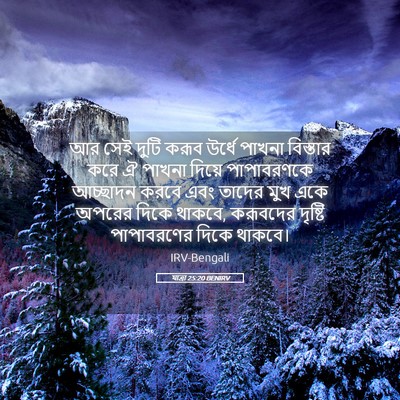 Picture 05 - যাত্ৰা 25:20 BENIRV - আর সেই দুটি করূব - Bible Verse Picture