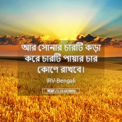 Picture 05 - যাত্ৰা 25:26 BENIRV - আর সোনার চারটি - Bible Verse Picture