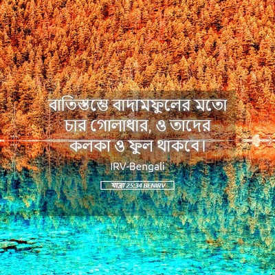 Picture 05 - যাত্ৰা 25:34 BENIRV - বাতিস্তম্ভে - Bible Verse Picture