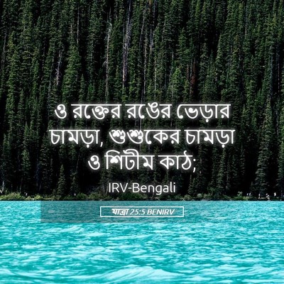 Picture 05 - যাত্ৰা 25:5 BENIRV - ও রক্তের রঙের - Bible Verse Picture