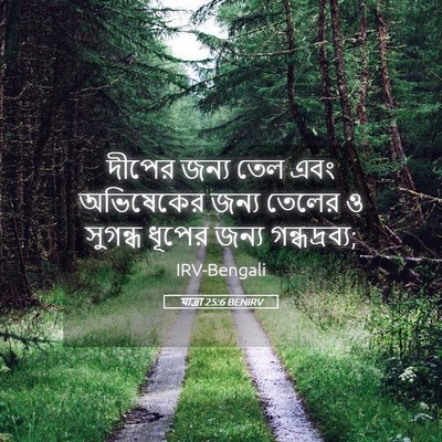 Picture 05 - যাত্ৰা 25:6 BENIRV - দীপের জন্য তেল এবং - Bible Verse Picture