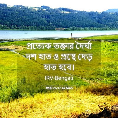 Picture 05 - যাত্ৰা 26:16 BENIRV - প্রত্যেক তক্তার - Bible Verse Picture