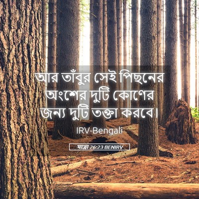 Picture 05 - যাত্ৰা 26:23 BENIRV - আর তাঁবুর সেই - Bible Verse Picture