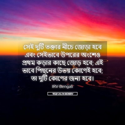 Picture 05 - যাত্ৰা 26:24 BENIRV - সেই দুটি তক্তার - Bible Verse Picture
