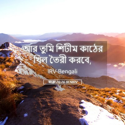 Picture 05 - যাত্ৰা 26:26 BENIRV - আর তুমি শিটীম - Bible Verse Picture