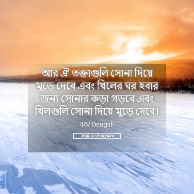 Picture 05 - যাত্ৰা 26:29 BENIRV - আর ঐ তক্তাগুলি - Bible Verse Picture