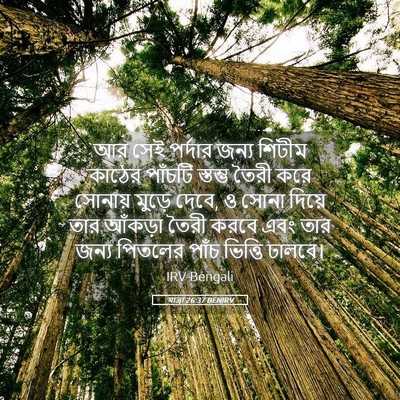Picture 05 - যাত্ৰা 26:37 BENIRV - আর সেই পর্দার জন্য - Bible Verse Picture