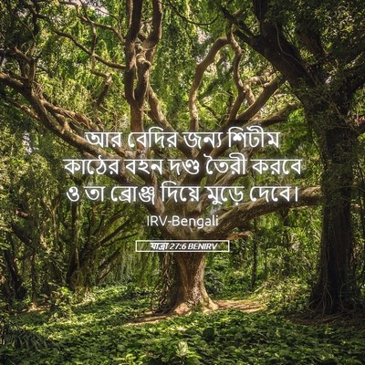 Picture 05 - যাত্ৰা 27:6 BENIRV - আর বেদির জন্য - Bible Verse Picture