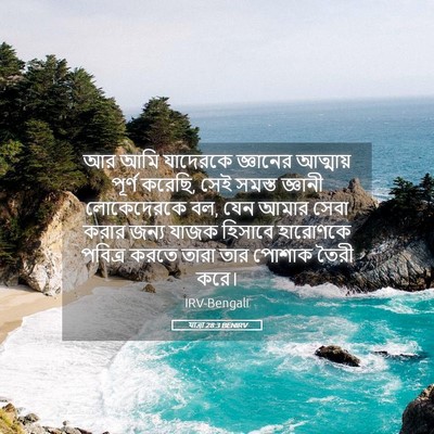 Picture 05 - যাত্ৰা 28:3 BENIRV - আর আমি যাদেরকে - Bible Verse Picture