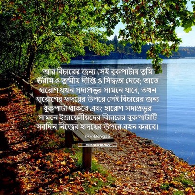 Picture 05 - যাত্ৰা 28:30 BENIRV - আর বিচারের জন্য - Bible Verse Picture