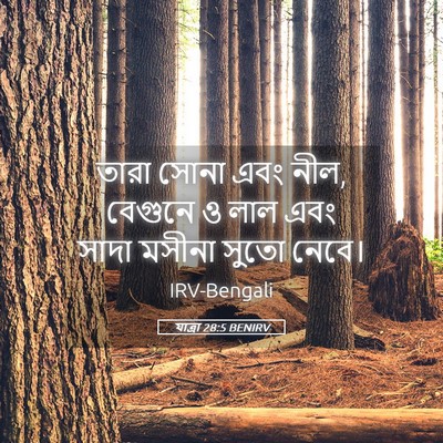 Picture 05 - যাত্ৰা 28:5 BENIRV - তারা সোনা এবং নীল, - Bible Verse Picture