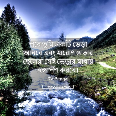 Picture 05 - যাত্ৰা 29:15 BENIRV - পরে তুমি একটি - Bible Verse Picture