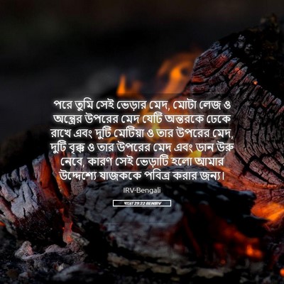 Picture 05 - যাত্ৰা 29:22 BENIRV - পরে তুমি সেই - Bible Verse Picture