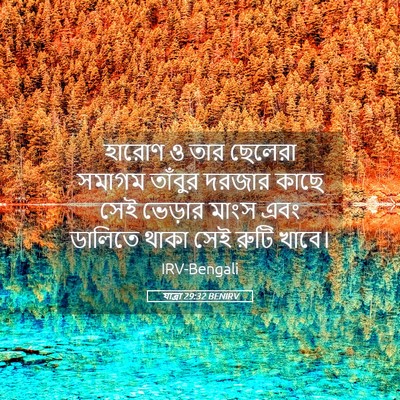 Picture 05 - যাত্ৰা 29:32 BENIRV - হারোণ ও তার ছেলেরা - Bible Verse Picture