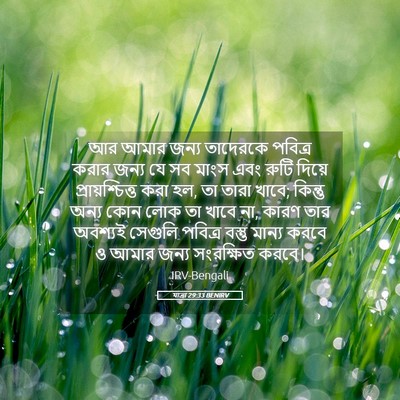 Picture 05 - যাত্ৰা 29:33 BENIRV - আর আমার জন্য - Bible Verse Picture