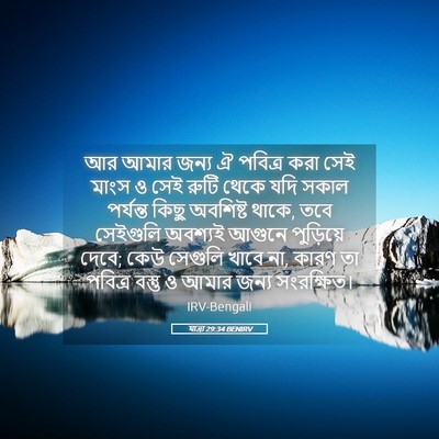 Picture 05 - যাত্ৰা 29:34 BENIRV - আর আমার জন্য ঐ - Bible Verse Picture
