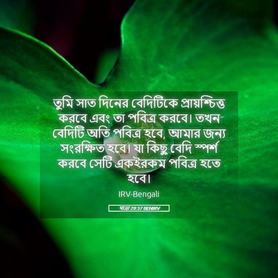 Picture 05 - যাত্ৰা 29:37 BENIRV - তুমি সাত দিনের - Bible Verse Picture