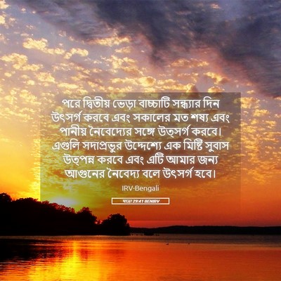 Picture 05 - যাত্ৰা 29:41 BENIRV - পরে দ্বিতীয় - Bible Verse Picture