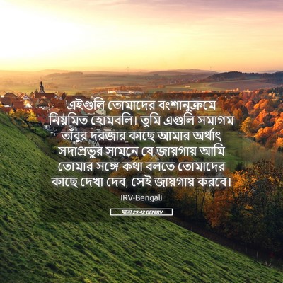 Picture 05 - যাত্ৰা 29:42 BENIRV - এইগুলি তোমাদের - Bible Verse Picture