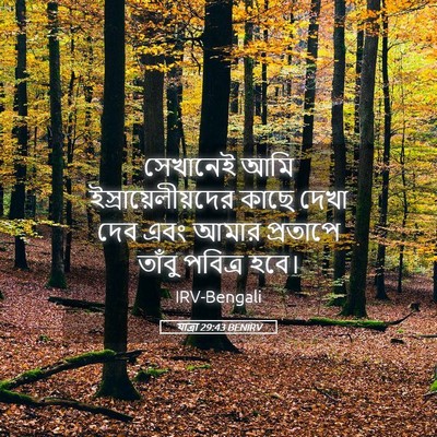 Picture 05 - যাত্ৰা 29:43 BENIRV - সেখানেই আমি - Bible Verse Picture