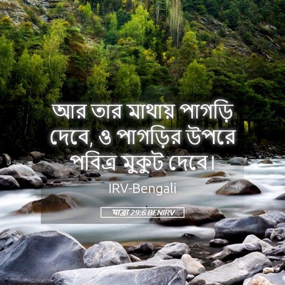 Picture 05 - যাত্ৰা 29:6 BENIRV - আর তার মাথায় - Bible Verse Picture