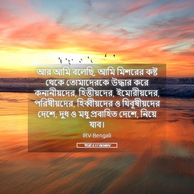 Picture 05 - যাত্ৰা 3:17 BENIRV - আর আমি বলেছি, আমি - Bible Verse Picture