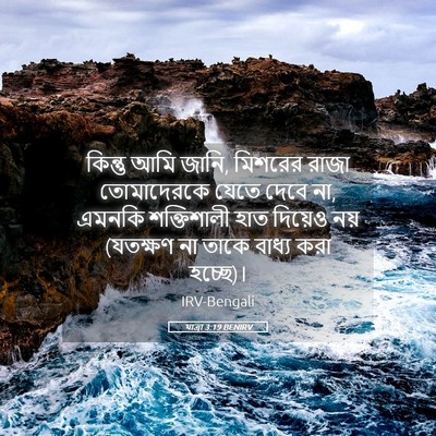 Picture 05 - যাত্ৰা 3:19 BENIRV - কিন্তু আমি জানি, - Bible Verse Picture
