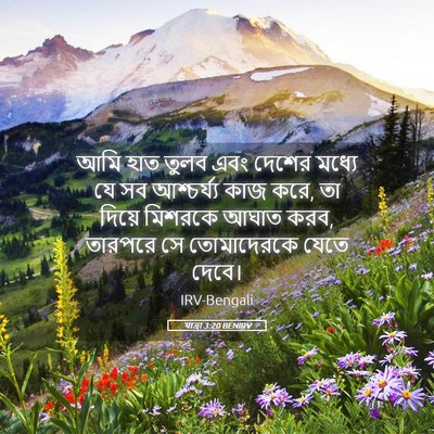 Picture 05 - যাত্ৰা 3:20 BENIRV - আমি হাত তুলব এবং - Bible Verse Picture