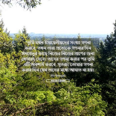 Picture 05 - যাত্ৰা 30:12 BENIRV - “তুমি যখন - Bible Verse Picture