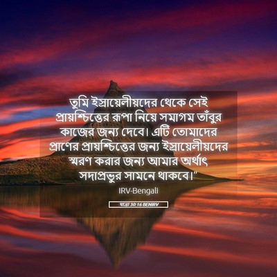 Picture 05 - যাত্ৰা 30:16 BENIRV - তুমি - Bible Verse Picture