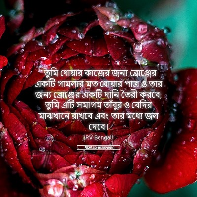 Picture 05 - যাত্ৰা 30:18 BENIRV - “তুমি ধোয়ার - Bible Verse Picture
