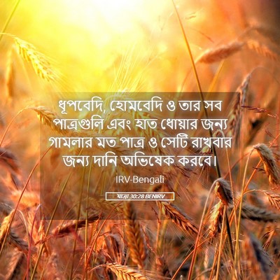 Picture 05 - যাত্ৰা 30:28 BENIRV - ধূপবেদি, হোমবেদি ও - Bible Verse Picture