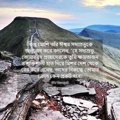 Picture 05 - যাত্ৰা 32:11 BENIRV - কিন্তু মোশি তাঁর - Bible Verse Picture