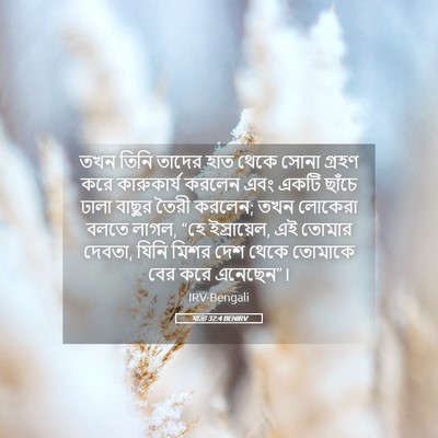 Picture 05 - যাত্ৰা 32:4 BENIRV - তখন তিনি তাদের হাত - Bible Verse Picture