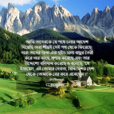 Picture 05 - যাত্ৰা 32:8 BENIRV - আমি তাদেরকে যে পথে - Bible Verse Picture