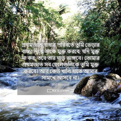 Picture 05 - যাত্ৰা 34:20 BENIRV - প্রথমজাত গাধার - Bible Verse Picture