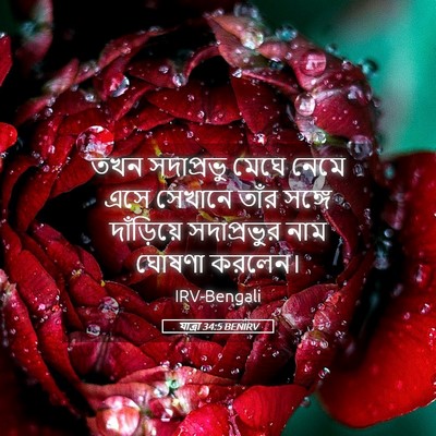 Picture 05 - যাত্ৰা 34:5 BENIRV - তখন সদাপ্রভু মেঘে - Bible Verse Picture