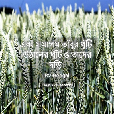 Picture 05 - যাত্ৰা 35:18 BENIRV - এবং সমাগম তাঁবুর - Bible Verse Picture