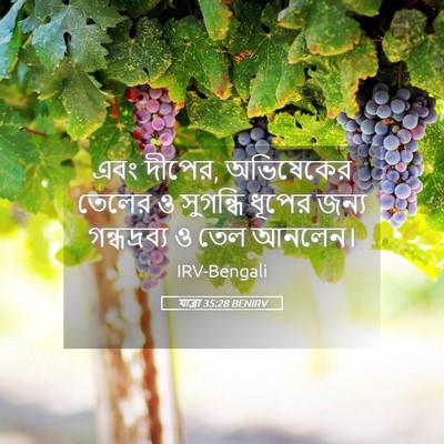 Picture 05 - যাত্ৰা 35:28 BENIRV - এবং দীপের, - Bible Verse Picture