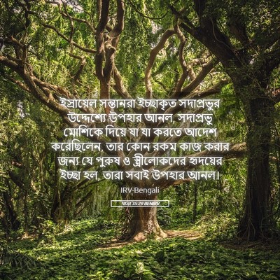 Picture 05 - যাত্ৰা 35:29 BENIRV - ইস্রায়েল - Bible Verse Picture