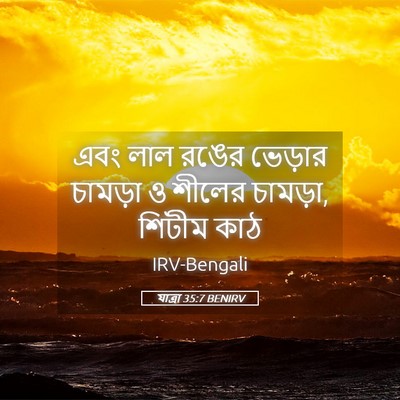 Picture 05 - যাত্ৰা 35:7 BENIRV - এবং লাল রঙের - Bible Verse Picture