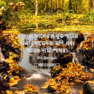 Picture 05 - যাত্ৰা 35:9 BENIRV - এবং এফোদের ও - Bible Verse Picture
