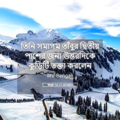 Picture 05 - যাত্ৰা 36:25 BENIRV - তিনি সমাগম তাঁবুর - Bible Verse Picture