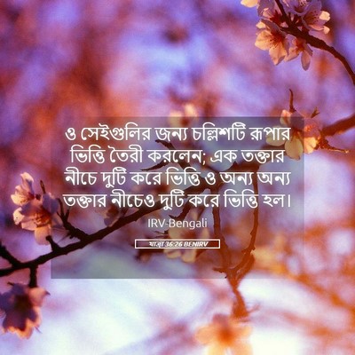 Picture 05 - যাত্ৰা 36:26 BENIRV - ও সেইগুলির জন্য - Bible Verse Picture