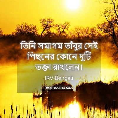 Picture 05 - যাত্ৰা 36:28 BENIRV - তিনি সমাগম তাঁবুর - Bible Verse Picture