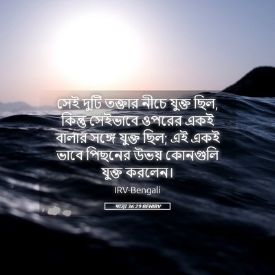 Picture 05 - যাত্ৰা 36:29 BENIRV - সেই দুটি তক্তার - Bible Verse Picture