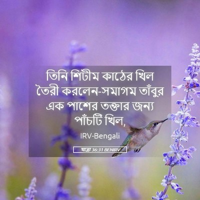 Picture 05 - যাত্ৰা 36:31 BENIRV - তিনি শিটীম কাঠের - Bible Verse Picture