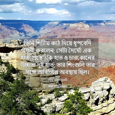 Picture 05 - যাত্ৰা 37:25 BENIRV - তিনি শিটীম কাঠ - Bible Verse Picture